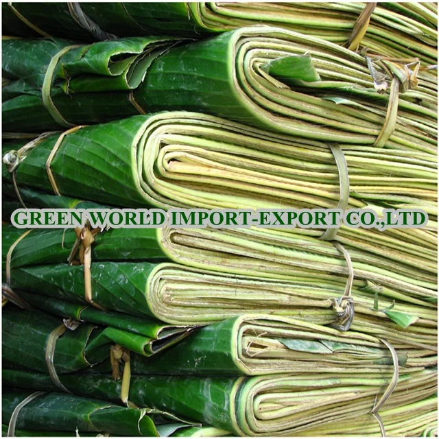 Green Banana Leaf 100 Natural Fresh Buy Banana Leaf,Natural