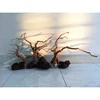 Manzanita For Home Decorations Whatsapp/ Viber/ Line: +84 963949178