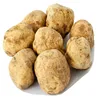 /product-detail/white-truffles-italy-62007464489.html