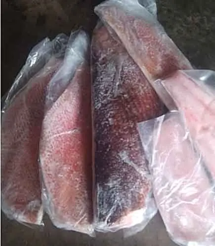 Red Bass fillet.jpg