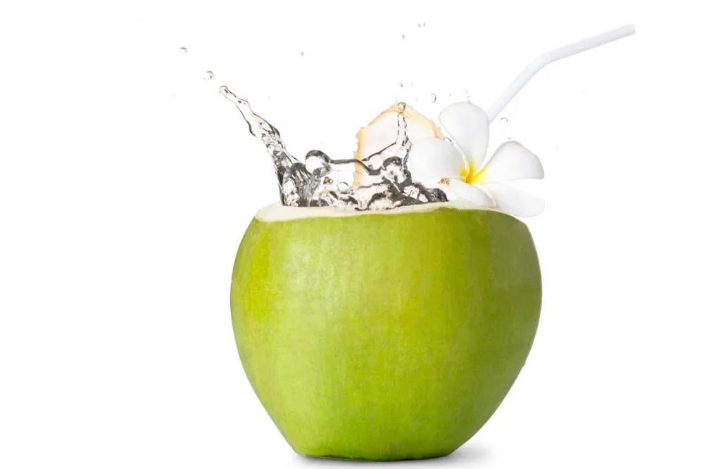 Fresh Young Coconut With High Quality And Large Quantity From Viet Nam