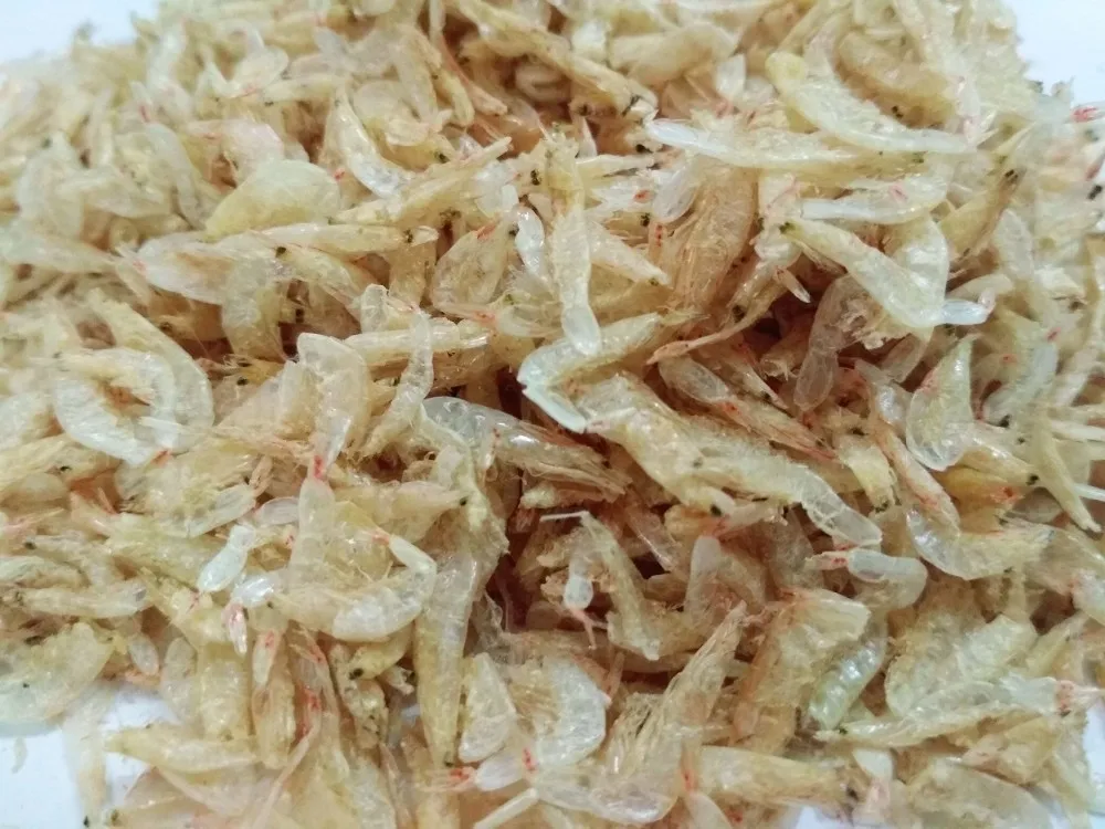 Vietnam Dried Baby Shrimp - Acetes Japonicus / High Quality Seafood ...