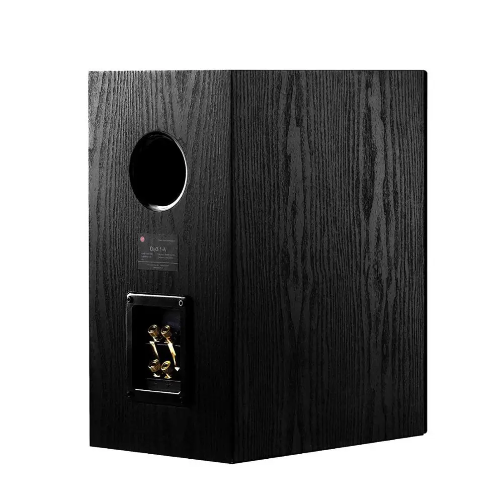 swan diy speakers