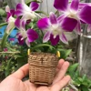 BAMBOO CRAFTS FROM VIETNAM/RHETT