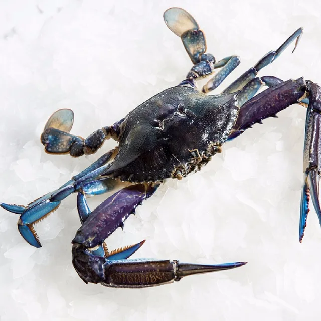 frozen crab prices