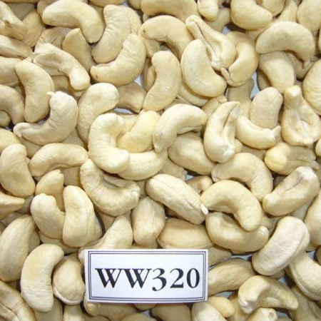 Sell Vietnam Processed Cashew Nut Best 