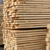 Spruce (White Wood), Pine (Red Wood) for Construction & roofing
