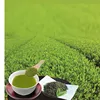 2018 hot sale Freeze-grind domestic organic green tea powder 100pcs