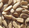 Sunflower Seeds/Sunflower Seeds Kernels, Sunflower Seeds In shell Available!!