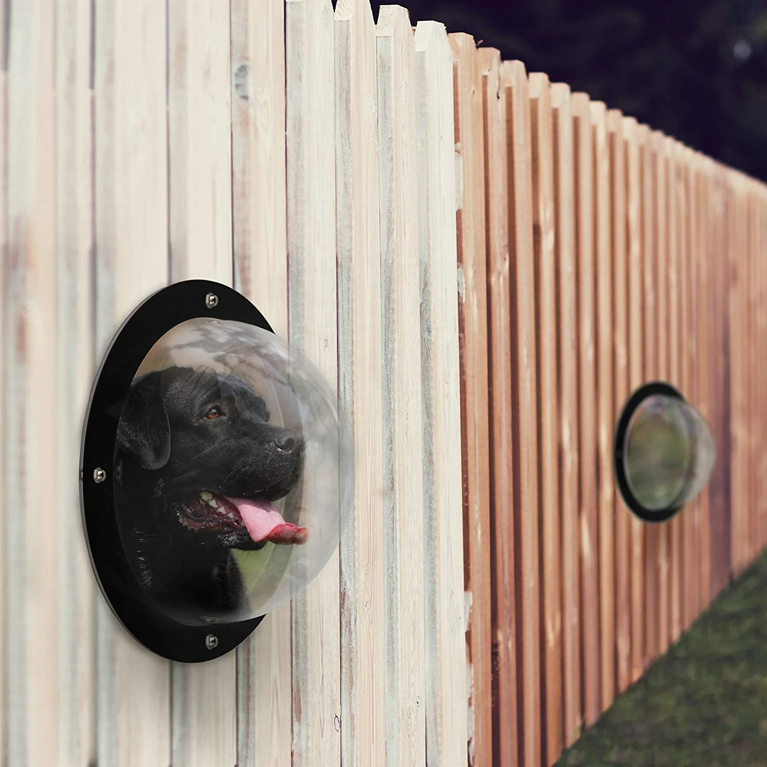 12.4''* 5'' Durable Acrylic Clear View Dome Dog Dome Pet Peek Window