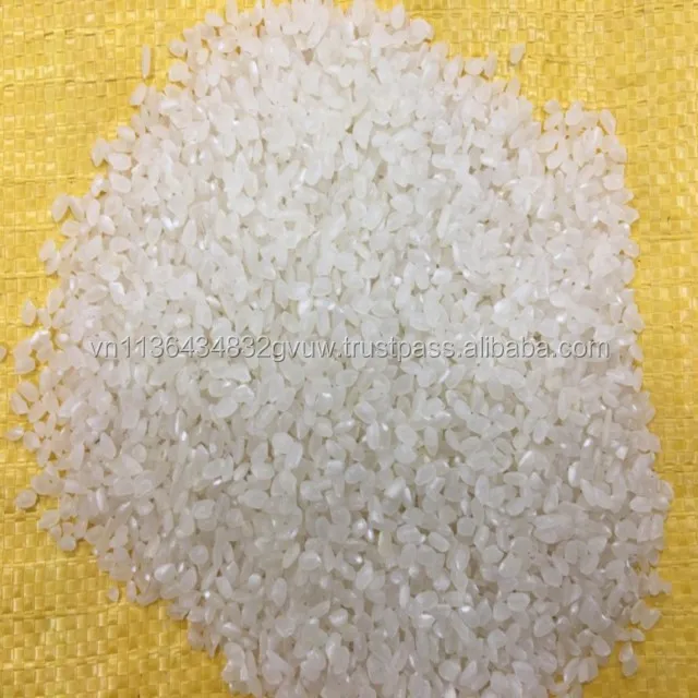 JAPONICA 2% BROKEN 44.jpg