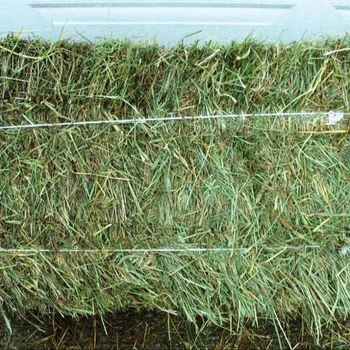 A Grade Grade Buy High Quality Premium Alfalfa Hay Alfalfa Hay