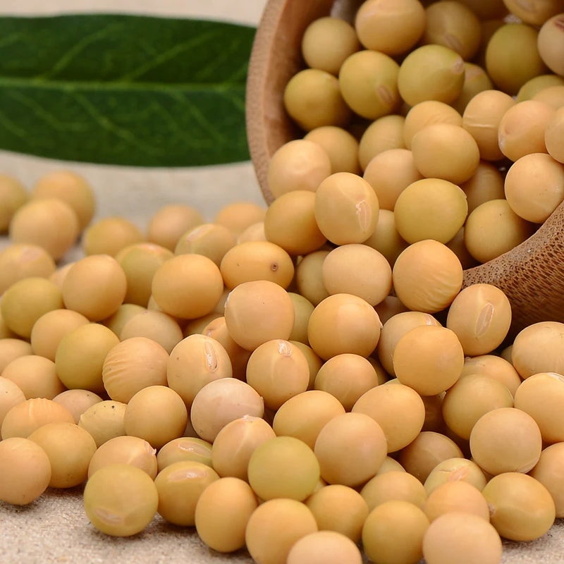 Hot Sale Soya Beans For Sale Buy Hot Sale Soya Beans For Sale,Soybean Meal For Sale,Cheap