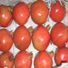 Top Seller of Fresh Pomegranate Fruits in India