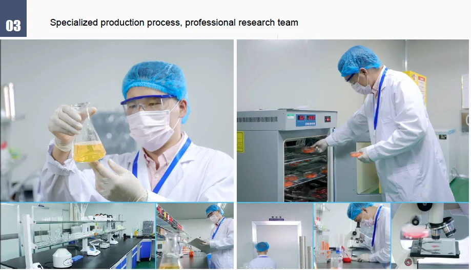 Top PMU Micro Pigments.png