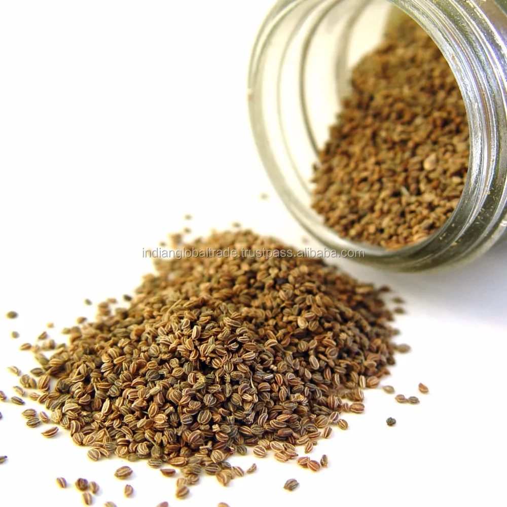 Indian Celery Seed Celery Seed Suppliers Best Quality Celery Seed