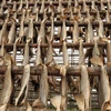 Stockfish - Dried fish - Cod & Tusk - Competitive prices, supply from Germany