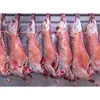 Halal Certified Frozen Beef Meat with Premium Vacuum Packaging