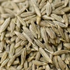 Gujarat cumin seeds