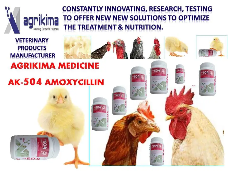 Veterinary Medicinepoultry Medicine Manufacturerak504veterinary