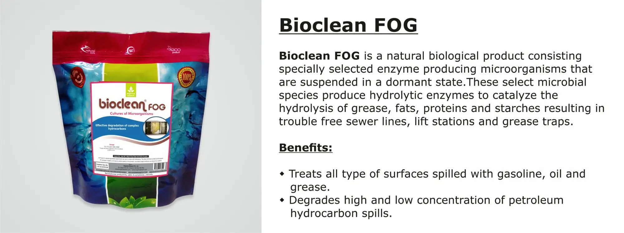 Bioclean Fog.jpg