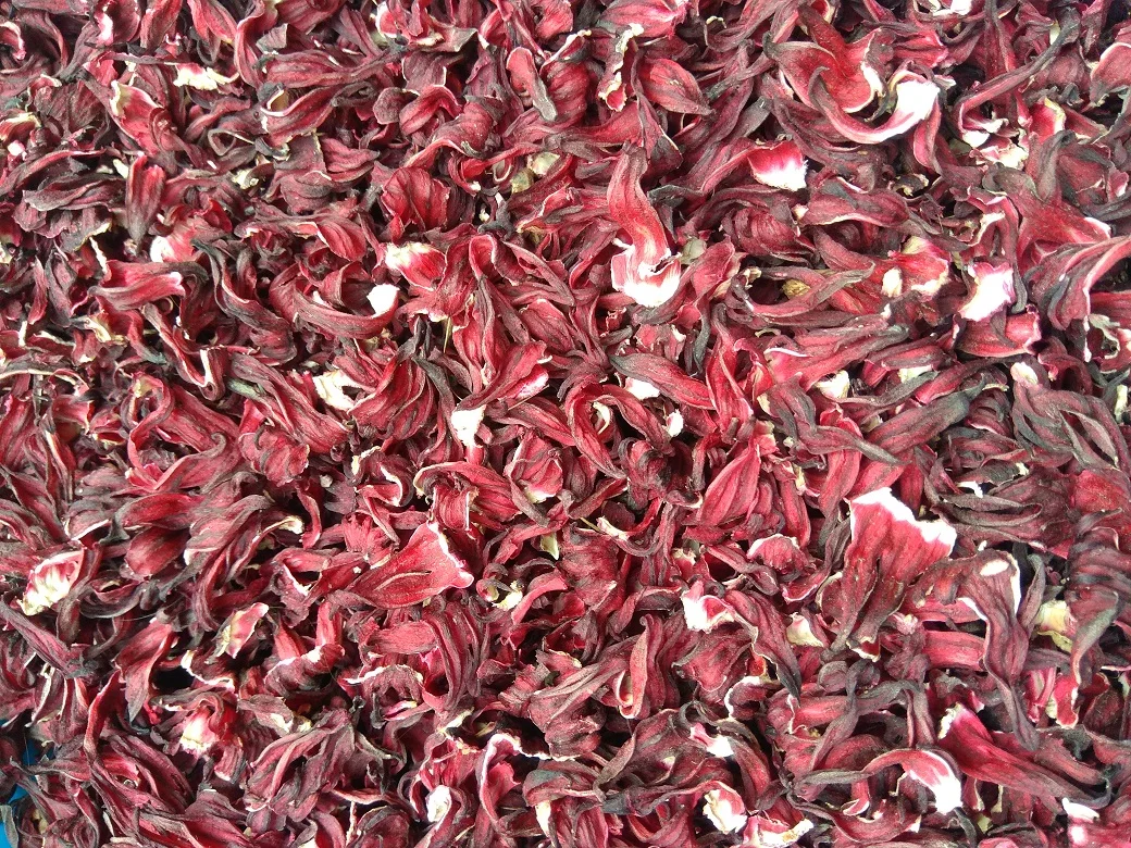 Dried Hibiscus Flowers Available... Buy Dried Hibiscus Flowers,Fresh