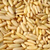 Blanched Pine Nuts. / Cheap Pine Nuts Prices/Chinese Pinenut Kernels