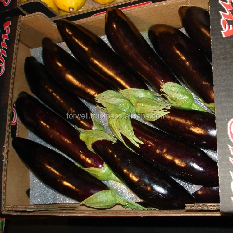 
Fresh Eggplant ( Black - white ) 