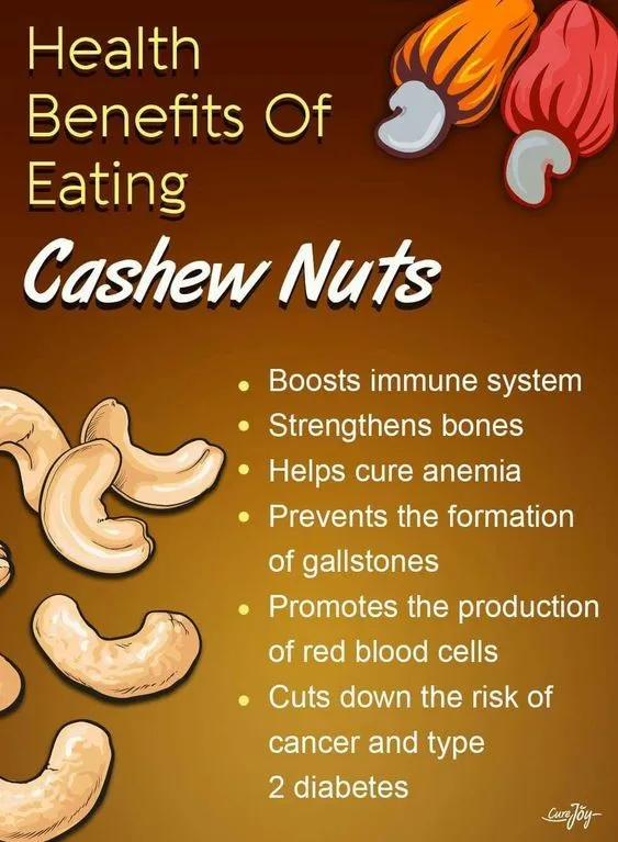 low price wholesale for premium quality - buy cashew nut for