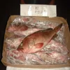 2 YEARS SHELF LIFE RED SNAPPER FILLET FRESH AND FROZEN FOR SALE