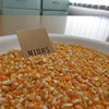 Organic Cracked Corn Tested Quality
