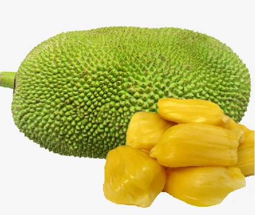 discount store frozen jackfruit with high quality and best price buy frozen jackfruit frozen passion fruit frozen fruit pulp product on alibaba com discount store frozen jackfruit with