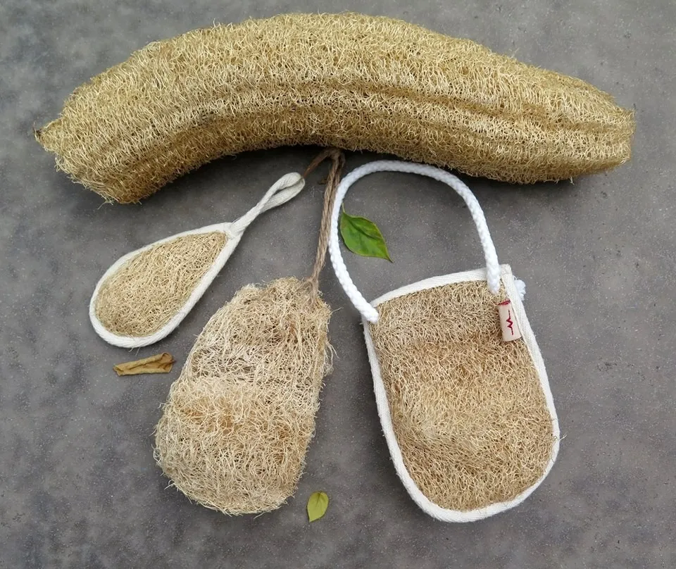Natural Dried Whole Sponge Loofah/ Raw Loofah Sponge From Vietnam 2021