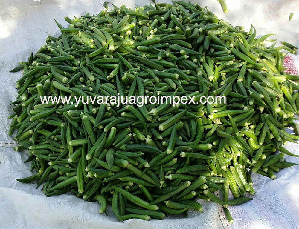 Okra pics.jpg