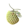 Top Quality Crete No.1 Hydroponic Product For Sale Thai Fruit Sweet Seed Melon