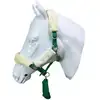 Horse nylon halter with lead rope in color green