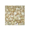 Export Quality Top Grade Delicious White Corn Maize at Minimum Price