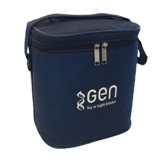 cheap insulated cooler bags