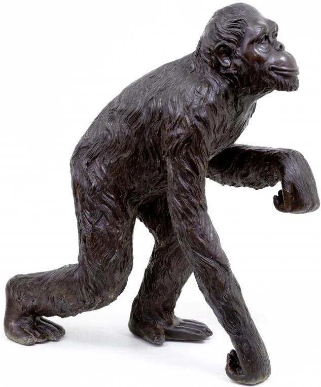 monkey (7).jpg