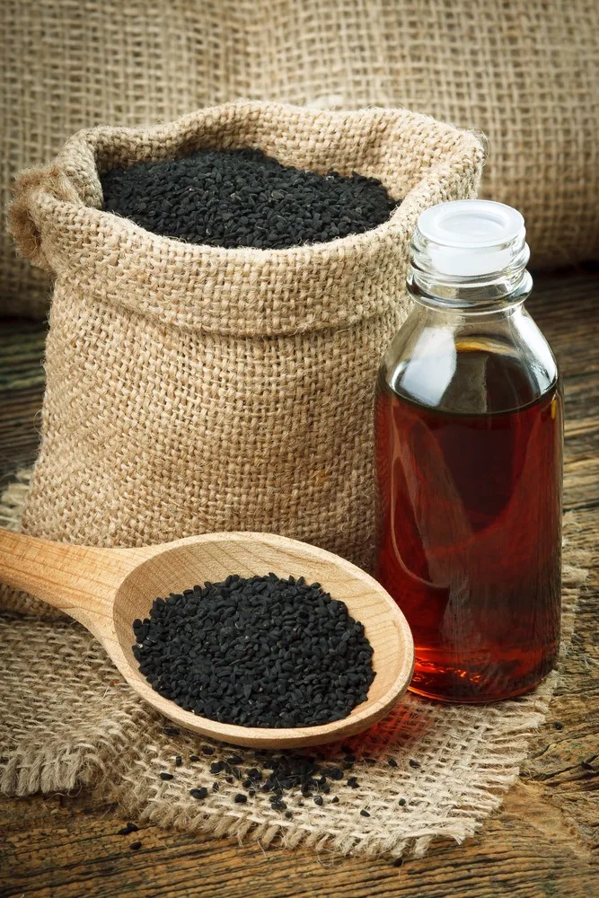 批发nigella 有机黑小茴香籽油价格