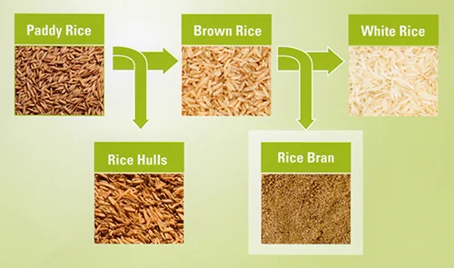 How Much Rice Bran For Feed Animal/ Price Of Rice Bran