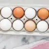 /product-detail/fresh-chicken-table-eggs-50034236874.html
