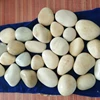/product-detail/low-price-cobbles-pebbles-indian-natural-sandstone-cobbles-lankan-grey-cobbles-50014304307.html