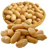 Raw groundnut Dry Roasted Peanut blanched peanut kernels