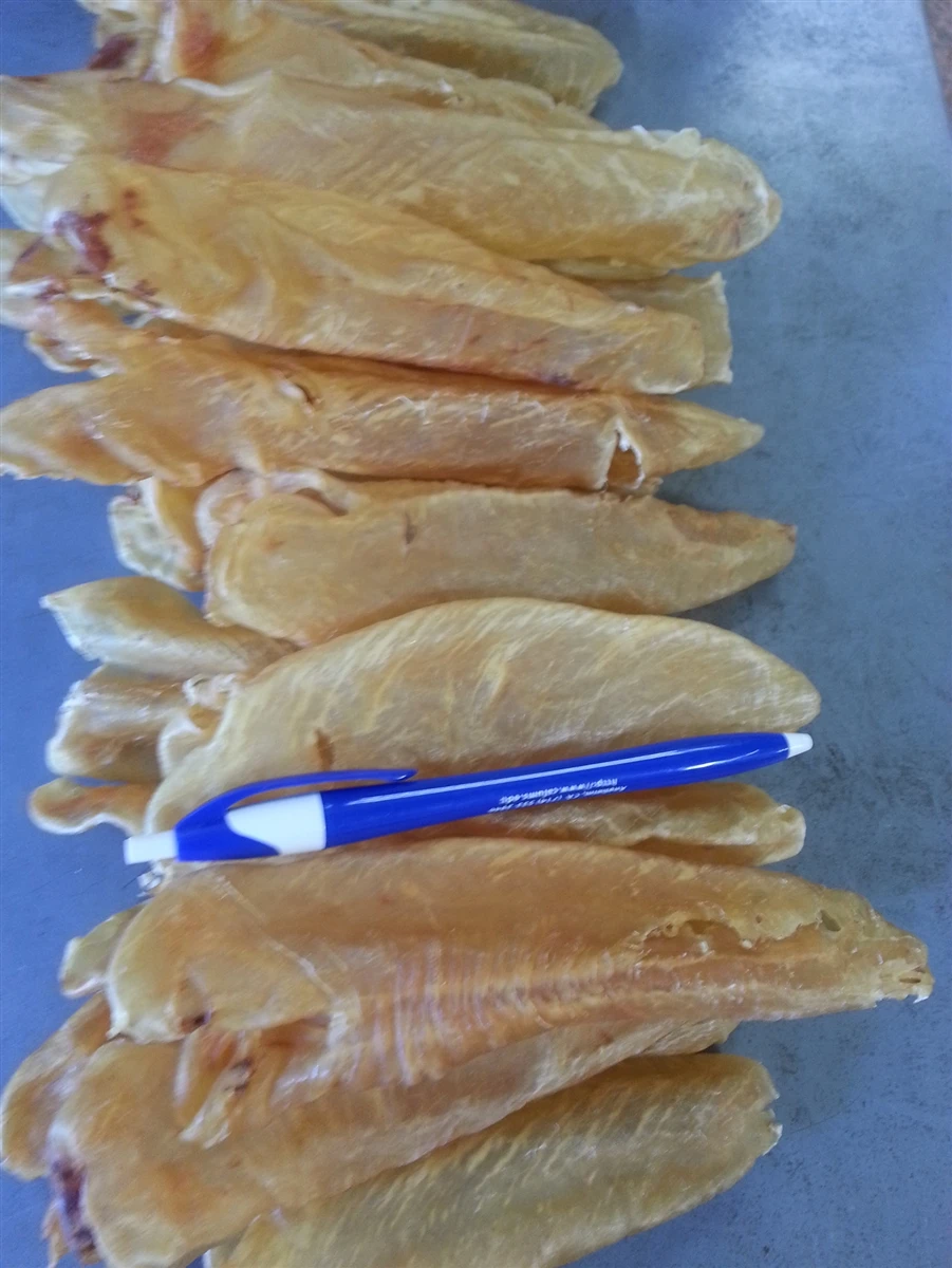 Dried Fish Maw For Example Pangasius Fish Maw Best Sell 2019 Buy Fish