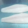 frozen basa fish fillet
