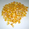 Yellow Corn/Maize for Animal Feed / YELLOW CORN FOR POULTRY FEED