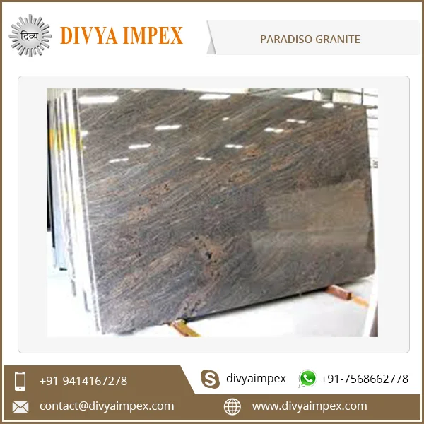 Cut To Size Indian Polished Paradiso Bash Granite Square Meter Price