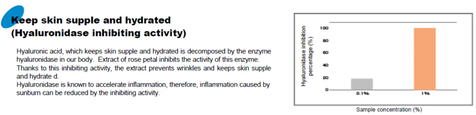 Rose Petal Extract_05.png