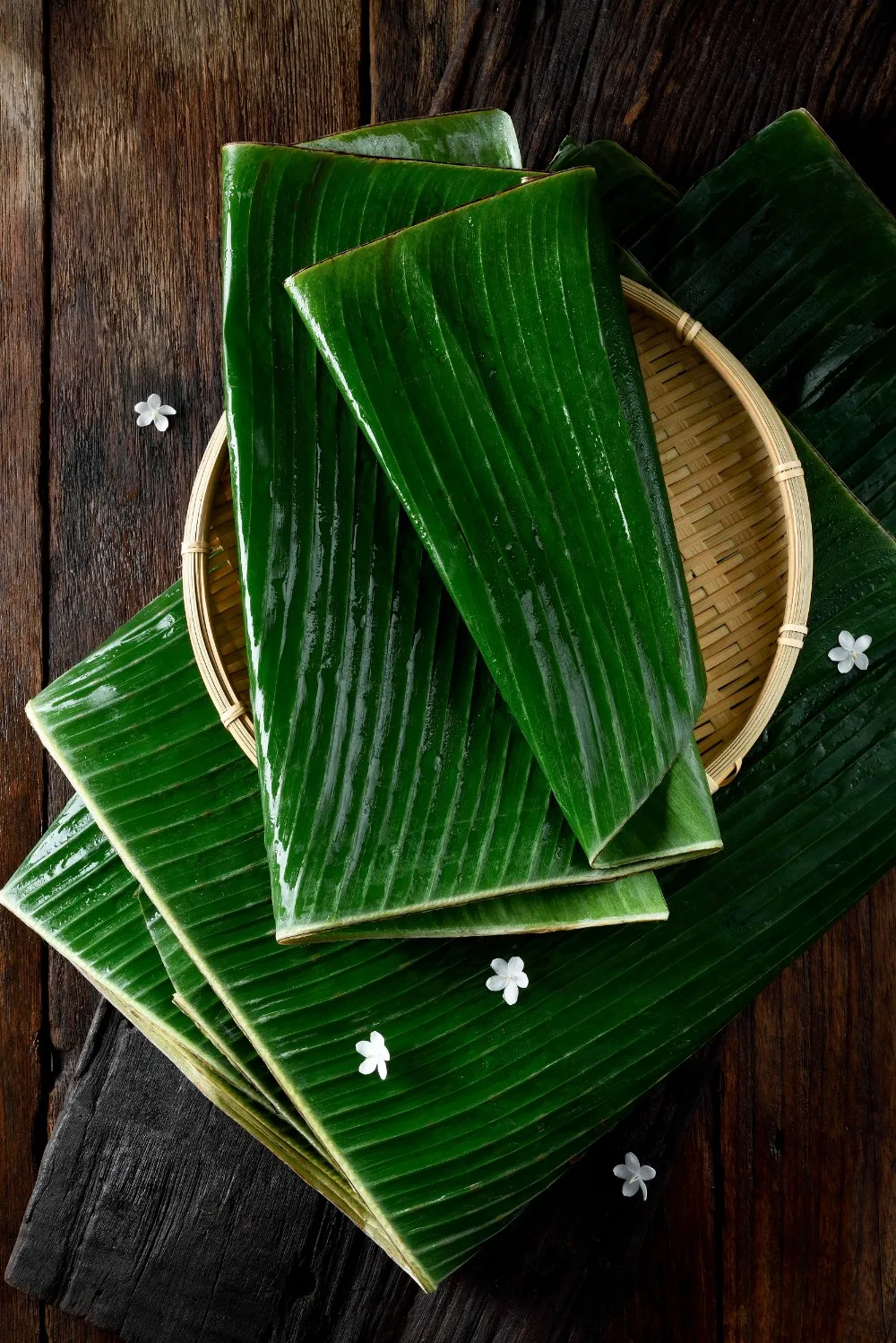 Banana Leaves (musa Paradisiaca L.) Buy Banana,Banana Leaves,Frozen Banana Leaves Product on